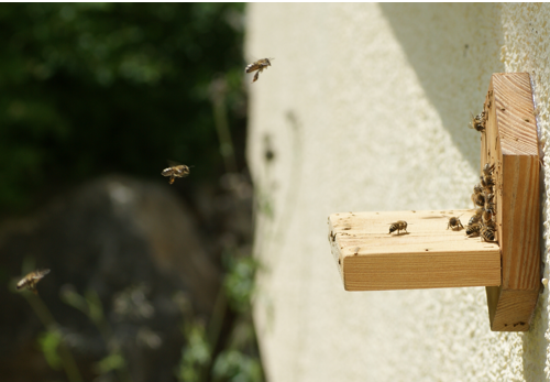 Flugloch ausserhalb der Klasse